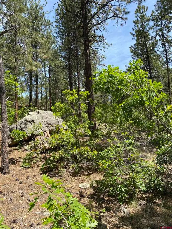 163 Boulder View Drive, Durango, CO 81301 - #1