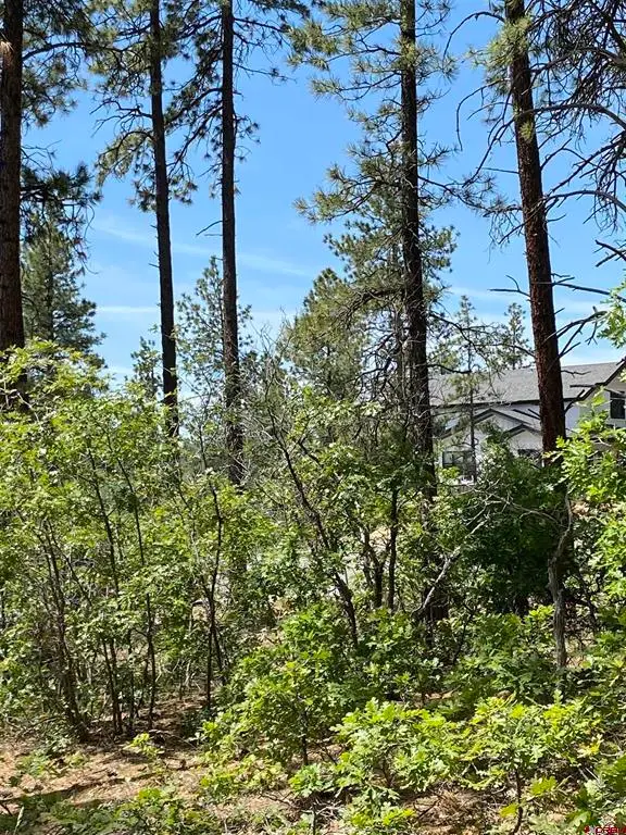 163 Boulder View Drive, Durango, CO 81301 - #2