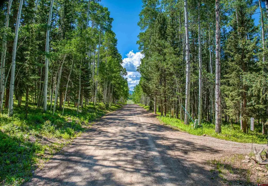 355 Ponderosa Way, Cimarron, CO 81220 - #1