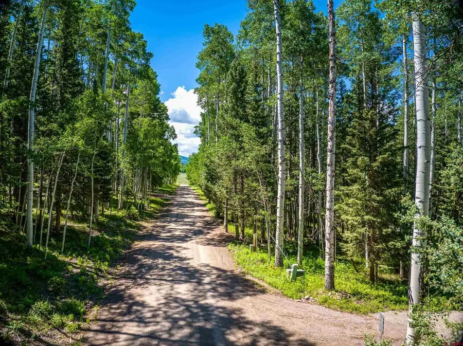 355 Ponderosa Way, Cimarron, CO 81220 - #3