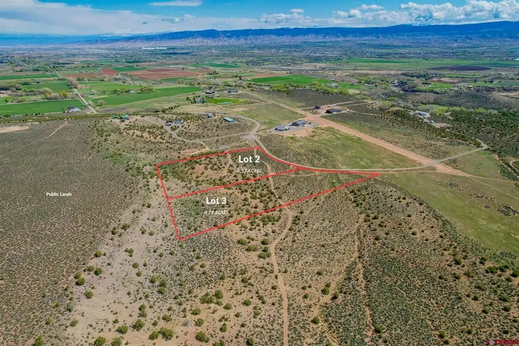 Tin Cup Lot 2 6300 Road, Montrose, CO 81403 - #1