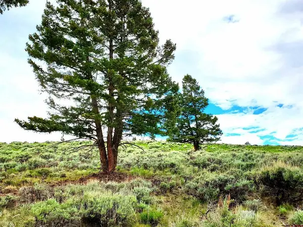 231 Schofield Trail, Powderhorn, CO 81243