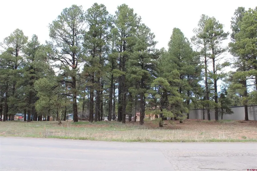 207 Bastille Drive, Pagosa Springs, CO 81147 - #2