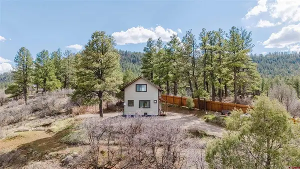 244 Carol's Curves, Pagosa Springs, CO 81147