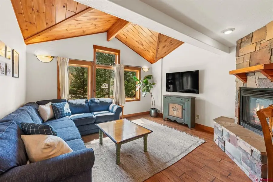 311 Cement Creek Road #E, Crested Butte, CO 81224 - #2