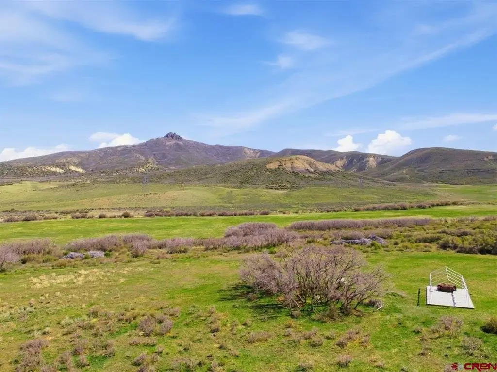 8896 8250 Road, Crawford, CO 81415 - #1