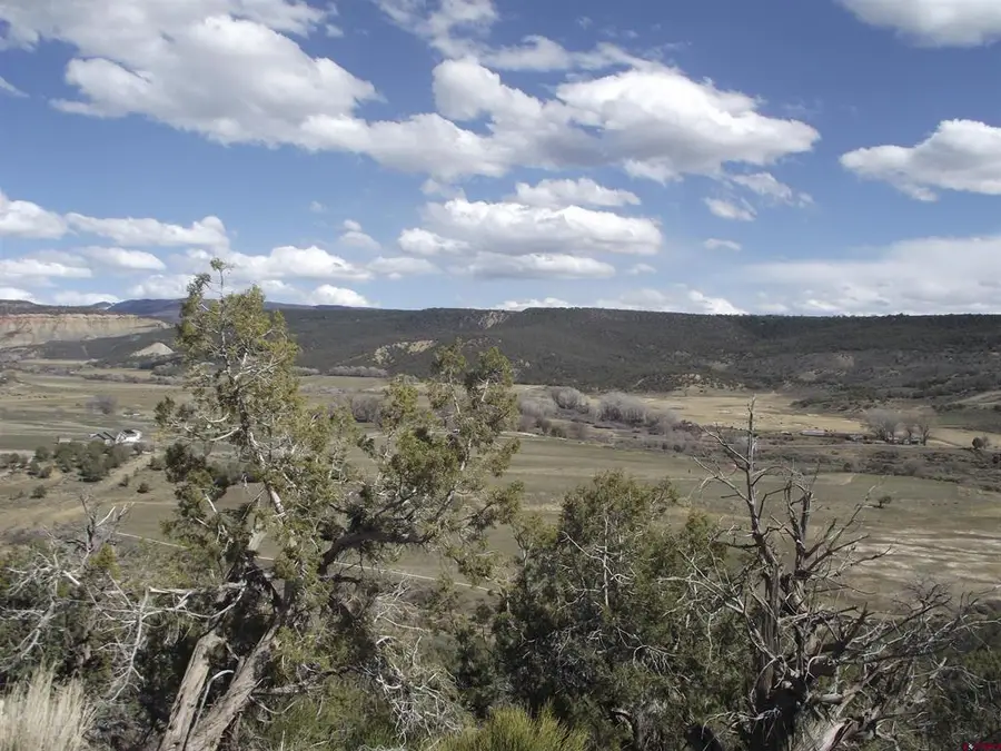 15842 Heavens View Road, Cedaredge, CO 81416 - #2