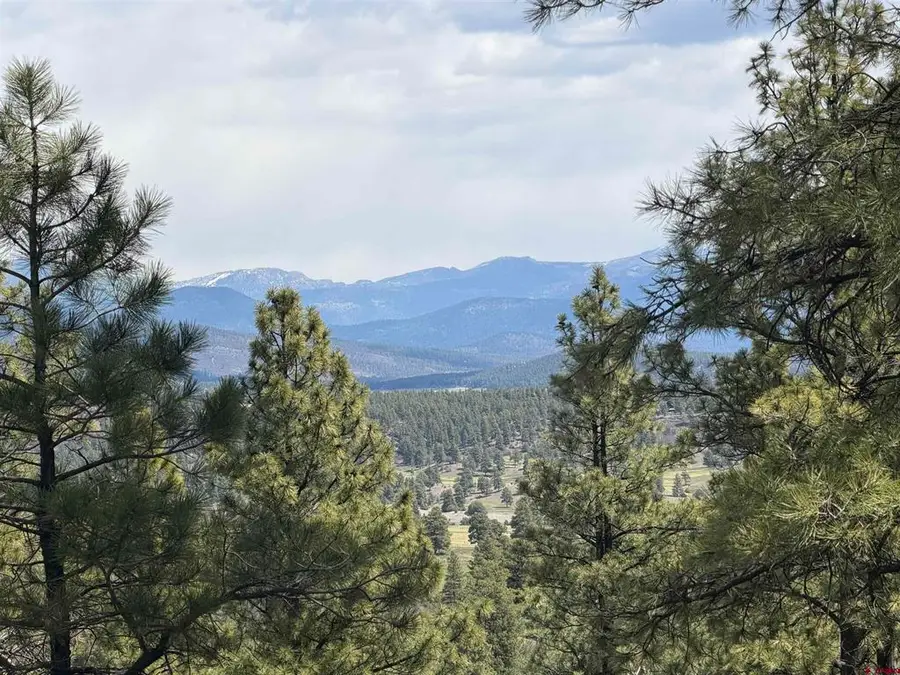 2626 S Pagosa Boulevard, Pagosa Springs, CO 81147 - #2