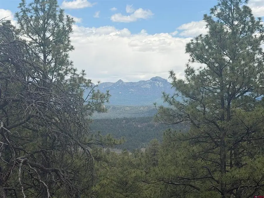 2626 S Pagosa Boulevard, Pagosa Springs, CO 81147 - #3
