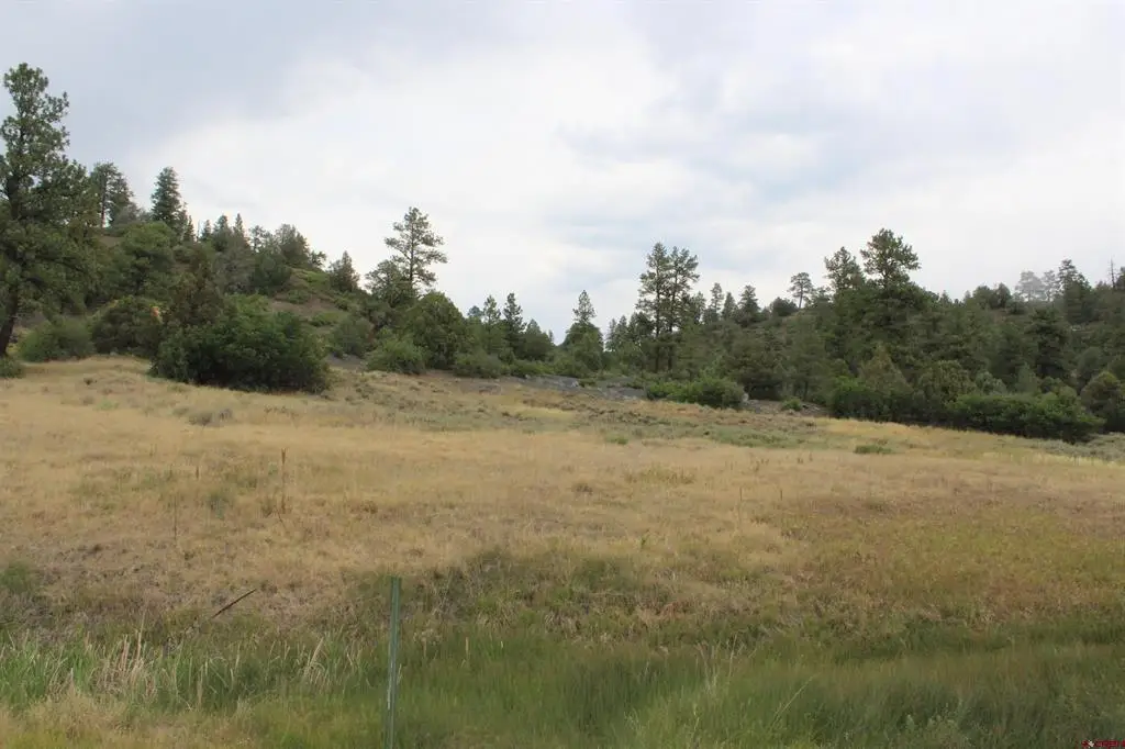 121 Elbert Place, Pagosa Springs, CO 81147 - #1
