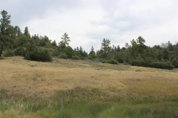 121 Elbert Place, Pagosa Springs, CO 81147
