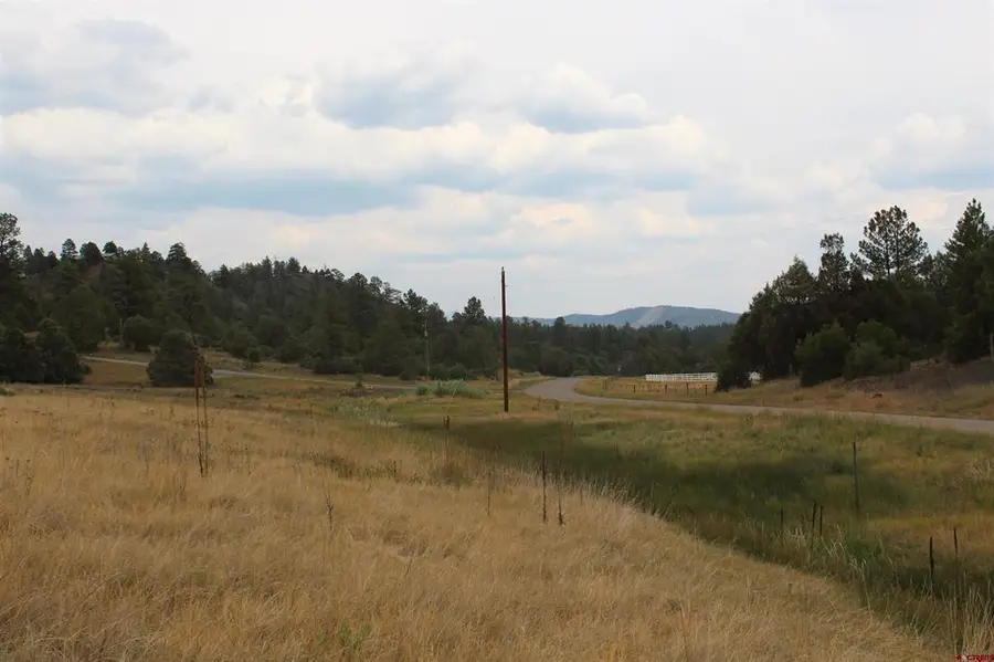 121 Elbert Place, Pagosa Springs, CO 81147 - #3