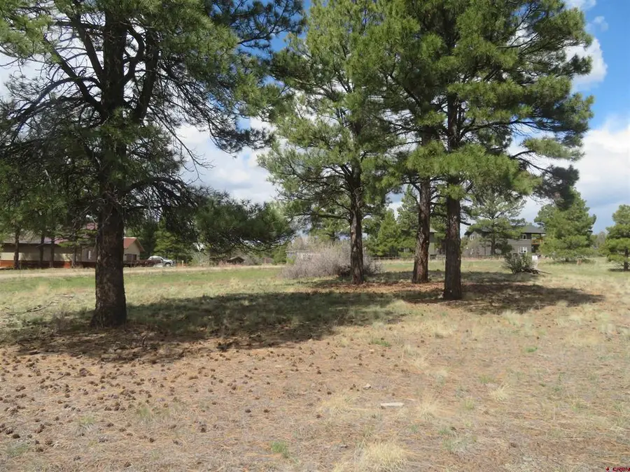 317 Domicile Circle, Pagosa Springs, CO 81147 - #2