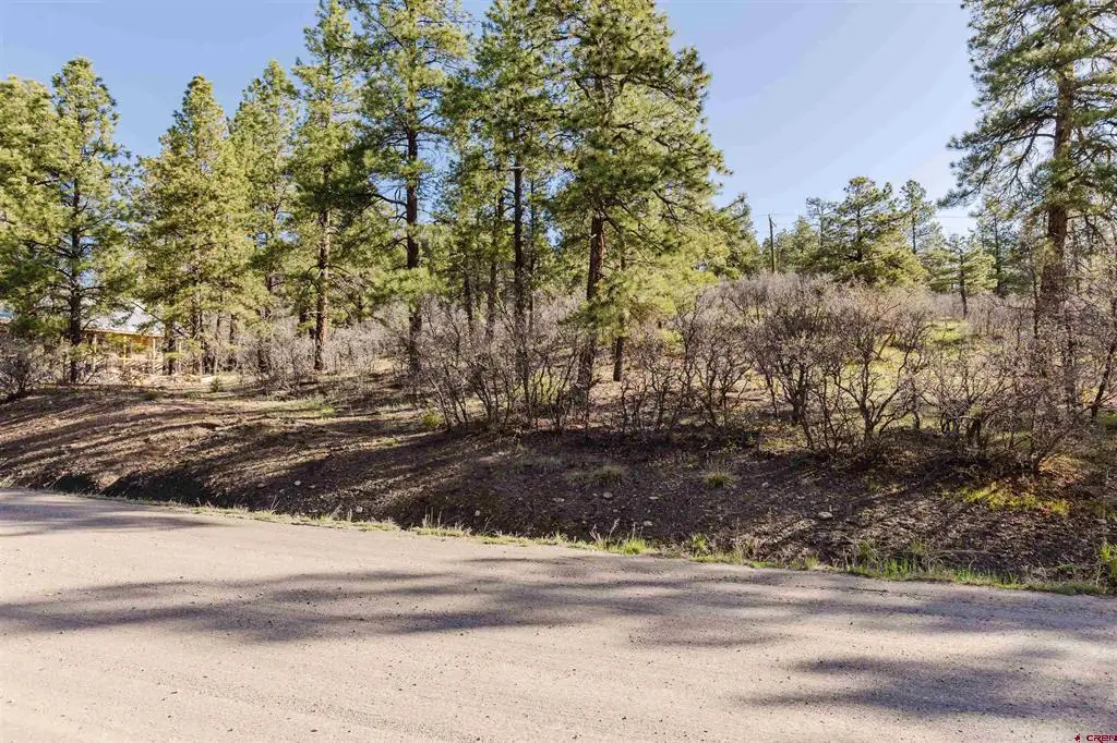 106 Granada Drive, Pagosa Springs, CO 81147 - #1