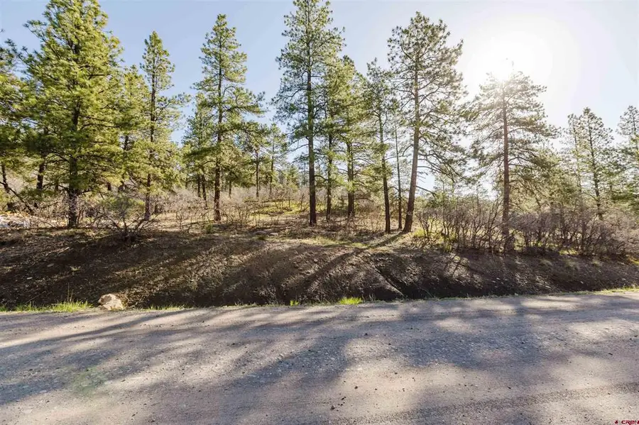 106 Granada Drive, Pagosa Springs, CO 81147 - #3