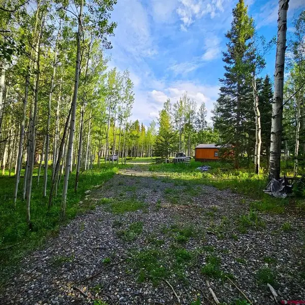 200 Hazel Lake Drive, Cimarron, CO 81220