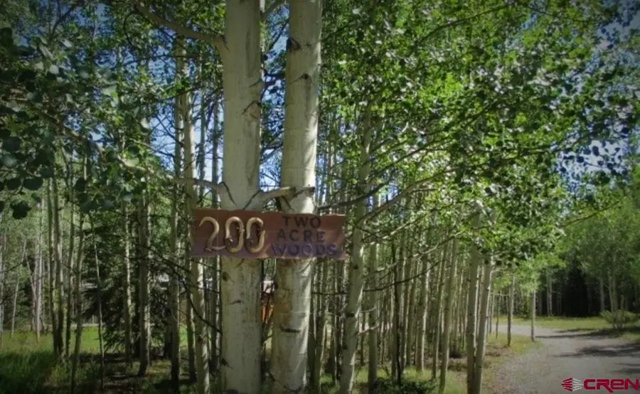 200 Hazel Lake Drive, Cimarron, CO 81220 - #2