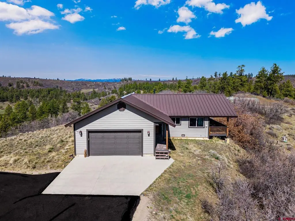 317 Clint Circle, Pagosa Springs, CO 81147 - #1