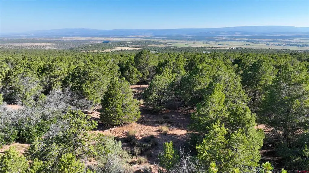 246 La Mesa Vista Drive, Norwood, CO 81423 - #1