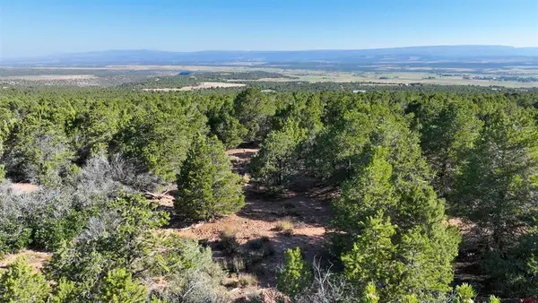 246 La Mesa Vista Drive, Norwood, CO 81423