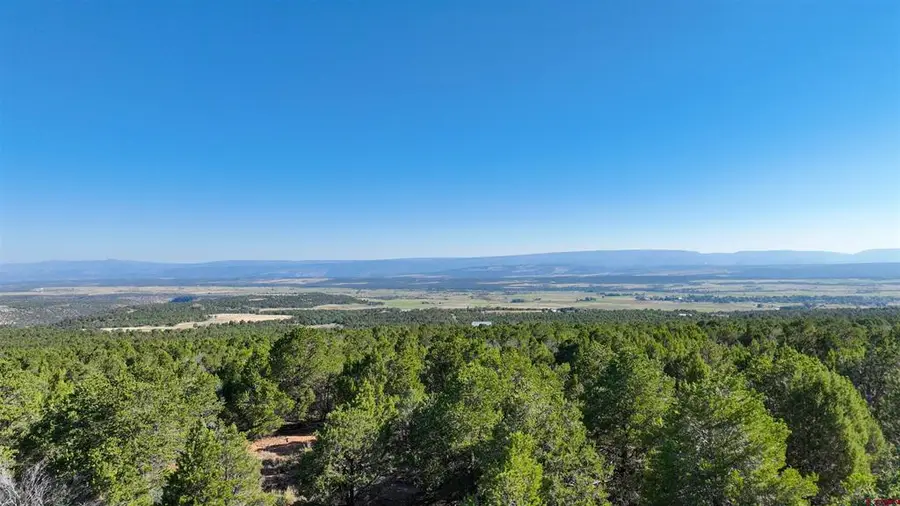 246 La Mesa Vista Drive, Norwood, CO 81423 - #3