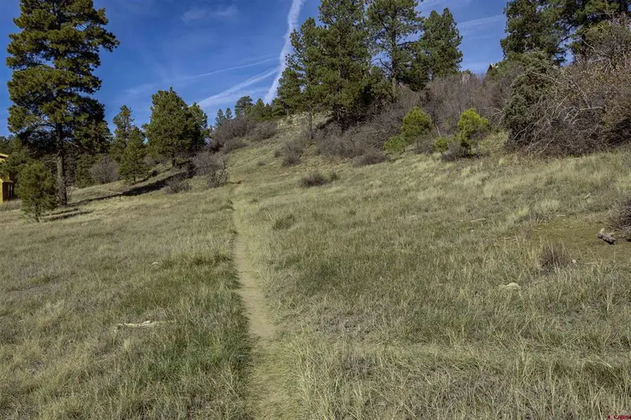 129 Snow Circle, Pagosa Springs, CO 81147 - #2