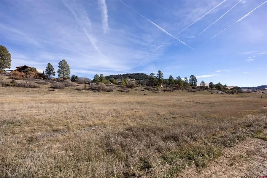 129 Snow Circle, Pagosa Springs, CO 81147 - #3