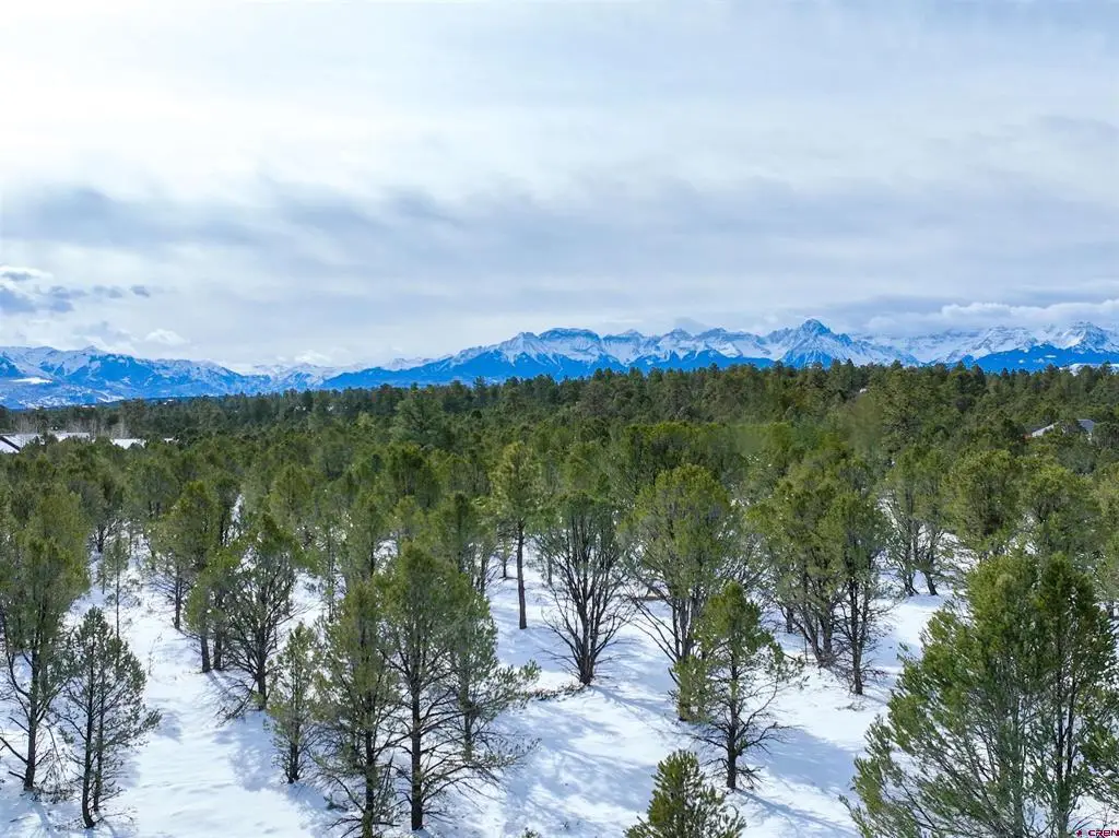 Lot 28 Fisher Canyon Drive, Ridgway, CO 81432 - #1