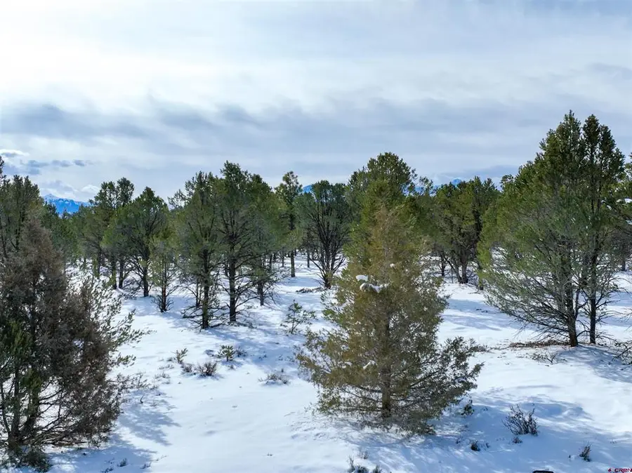 Lot 28 Fisher Canyon Drive, Ridgway, CO 81432 - #2