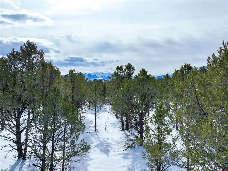 Lot 28 Fisher Canyon Drive, Ridgway, CO 81432 - #3