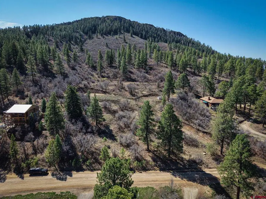 912 Alpine Drive, Bayfield, CO 81122 - #3