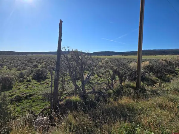 TBD 16 1/2 Road, Glade Park, CO 81523