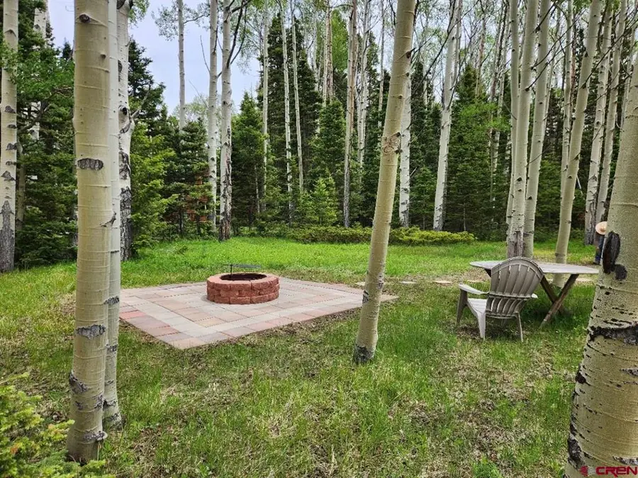 457 Wildflower Drive, Cimarron, CO 81220 - #2