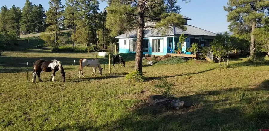 77 Golden Pond, Pagosa Springs, CO 81147 - #3