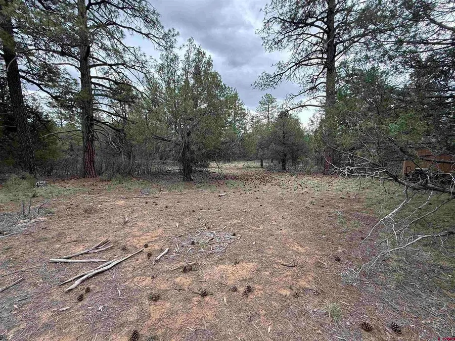 99 Cheyenne Drive, Durango, CO 81301 - #3