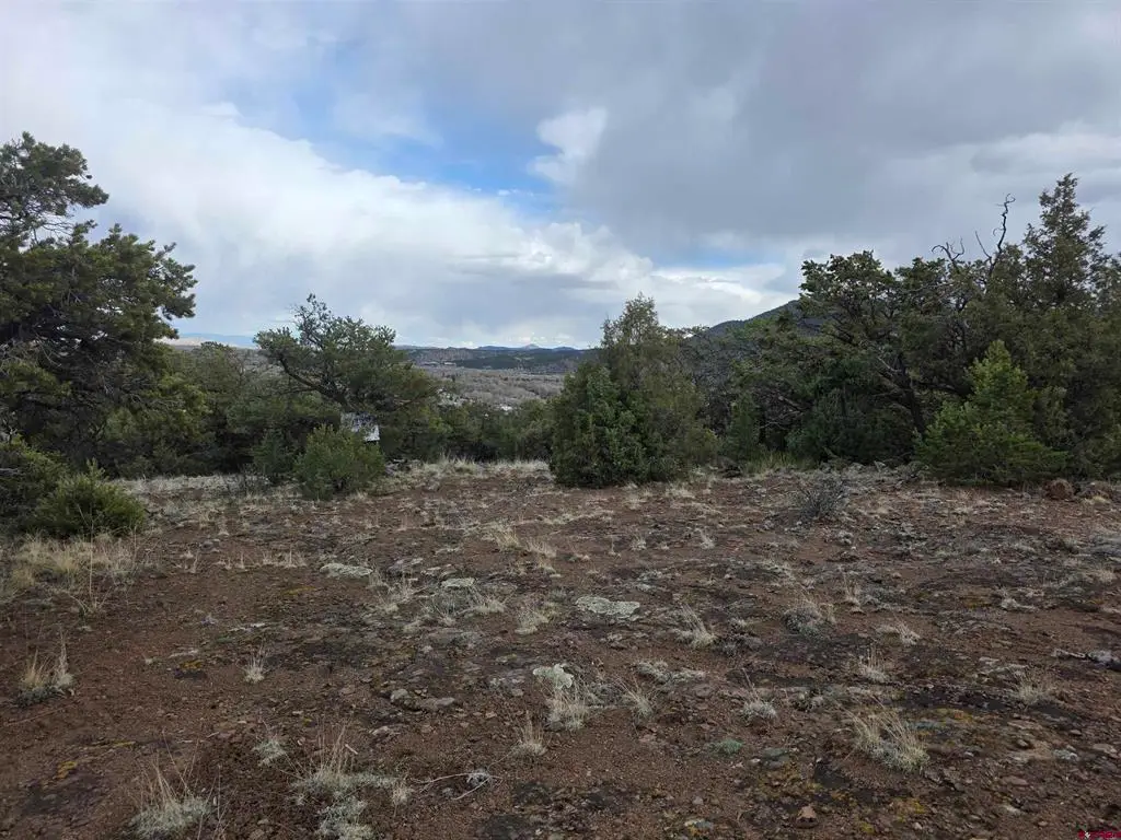 326 Pikrd Peak Road, South Fork, CO 81154 - #1