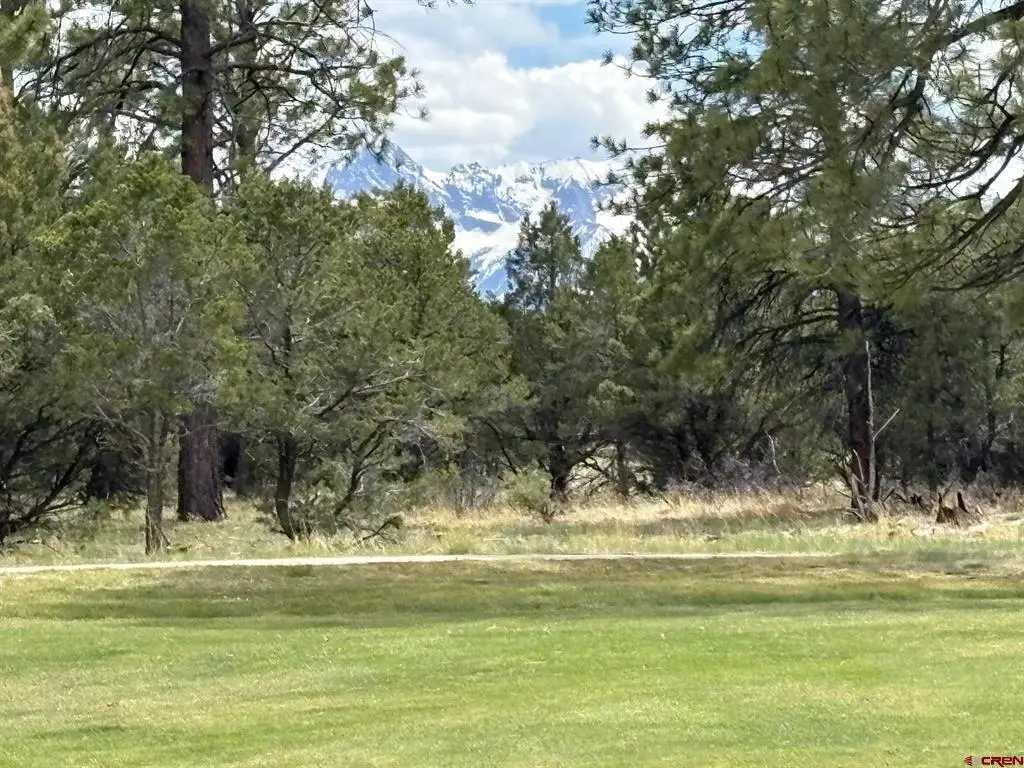 1711 Marmot Drive, Ridgway, CO 81432 - #1
