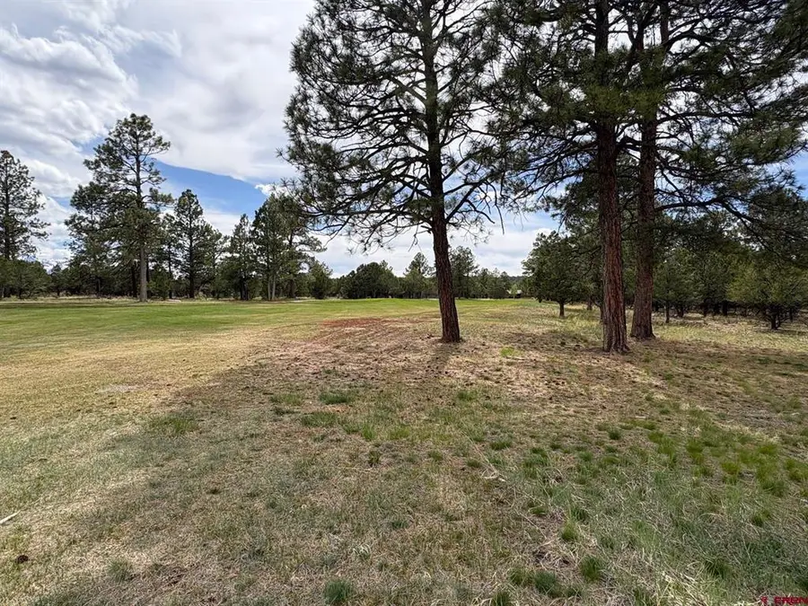 1711 Marmot Drive, Ridgway, CO 81432 - #3