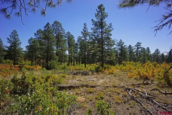 5 Road T.7, Mancos, CO 81328