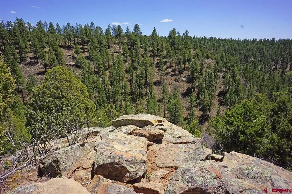 6 TBD Road T.7, Mancos, CO 81328 - #1