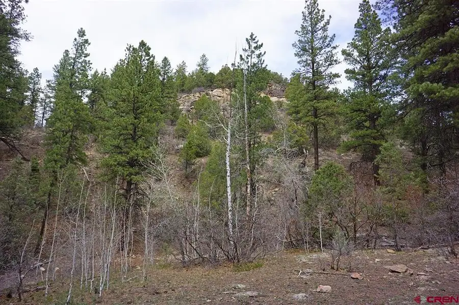 6 TBD Road T.7, Mancos, CO 81328 - #3