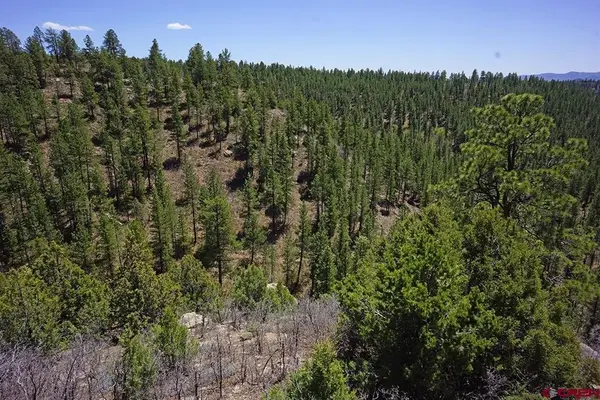11 TBD Road 37.1, Mancos, CO 81328