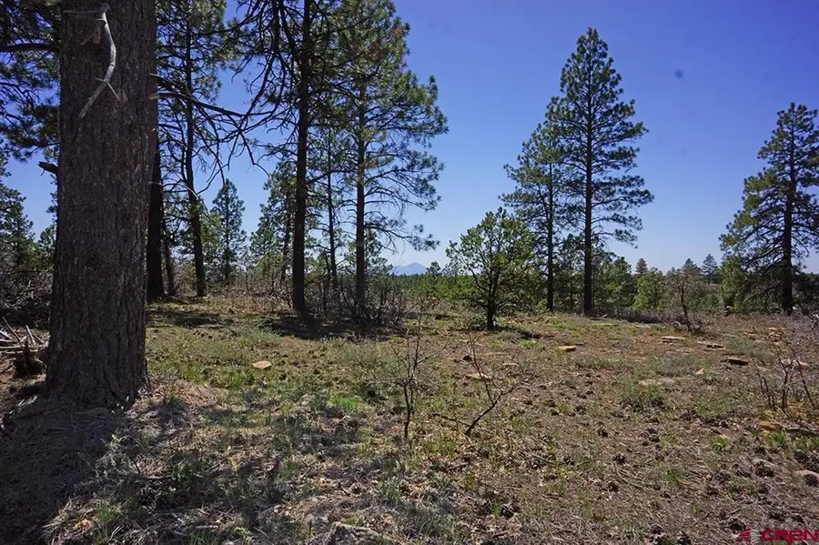 11 TBD Road 37.1, Mancos, CO 81328 - #2