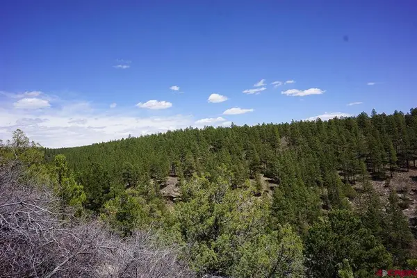 3 TBD Road 36.5, Mancos, CO 81328