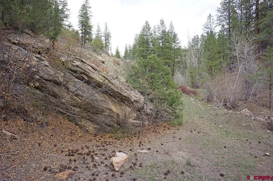 3 TBD Road 36.5, Mancos, CO 81328 - #2
