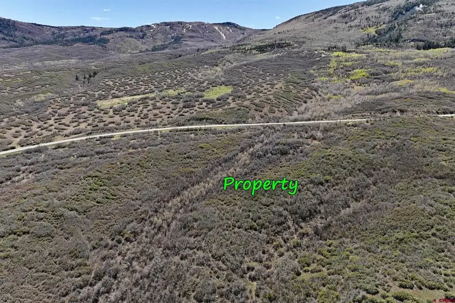 5962 Highway 65, Mesa, CO 81643 - #3