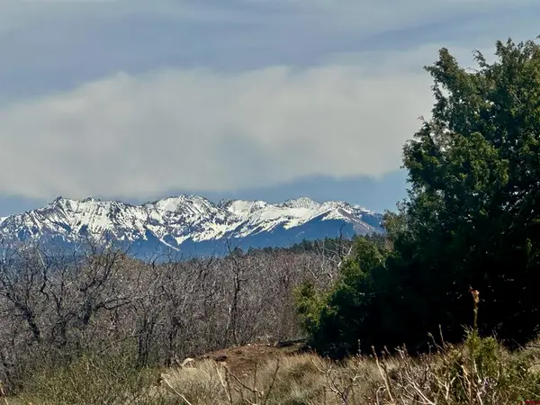 N Gurley Reserve, Norwood, CO 81423
