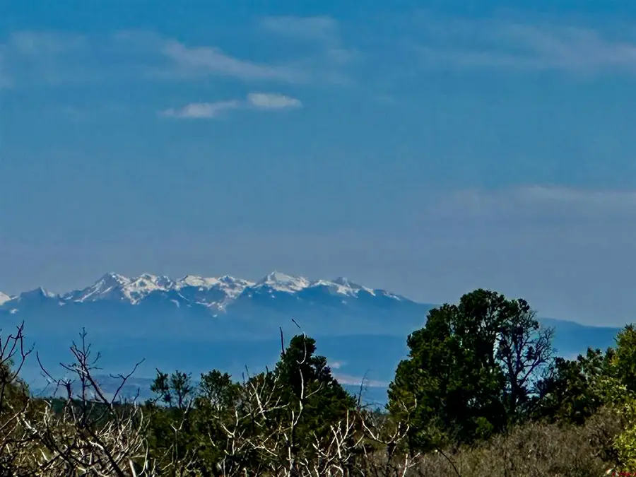 N Gurley Reserve, Norwood, CO 81423 - #2