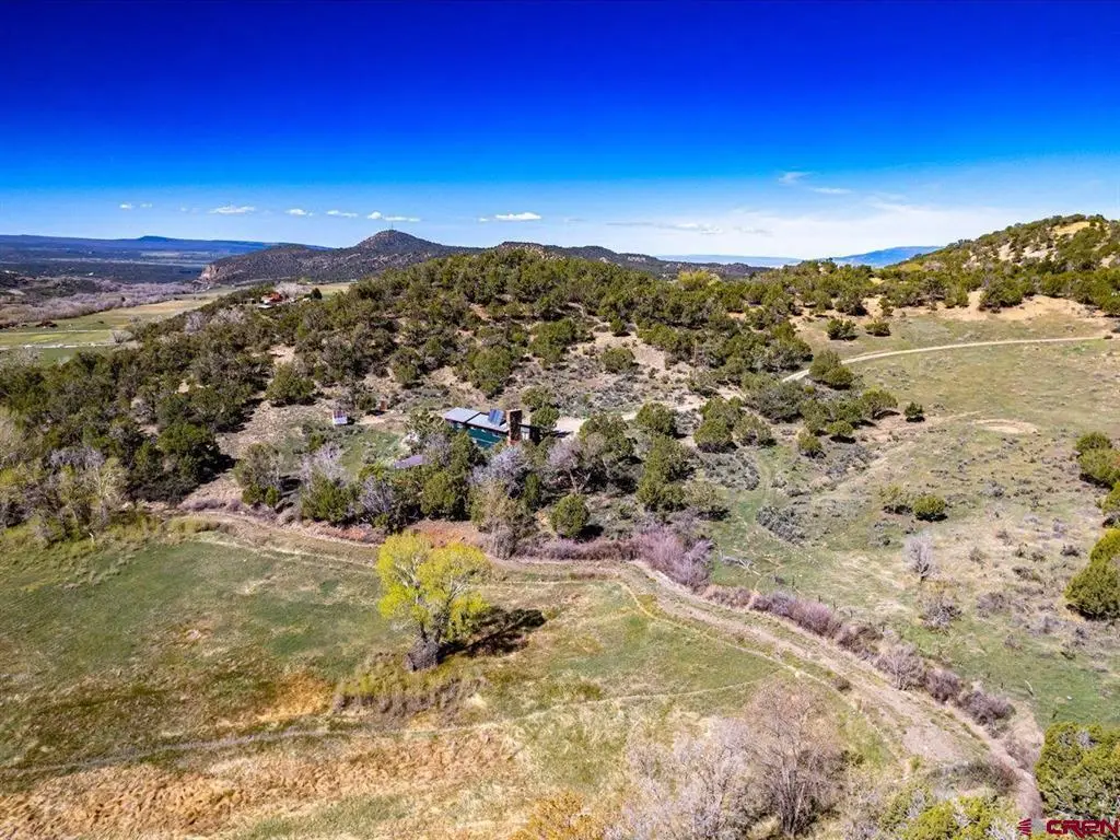 42996 Needle Rock Road, Crawford, CO 81415 - #1