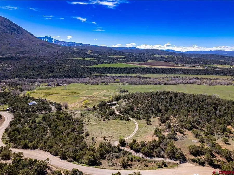 42996 Needle Rock Road, Crawford, CO 81415 - #3